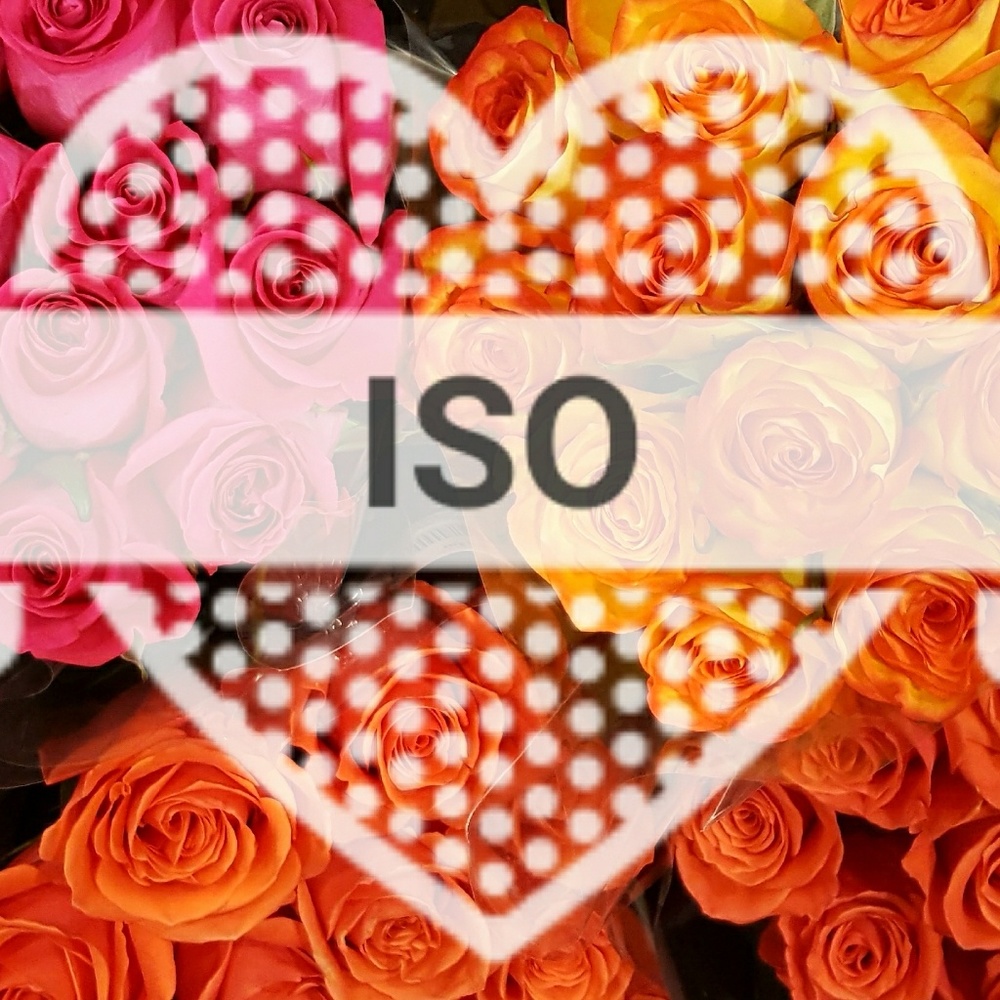 ISO - JEANS